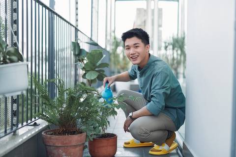 Start a condo balcony garden.